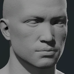 Face 13