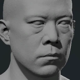 Face 14