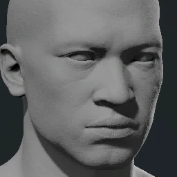 Face 16