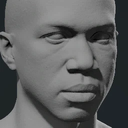 Face 12