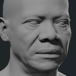 Face 21