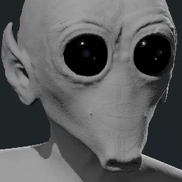 Face 1