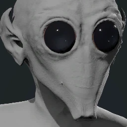 Face 2