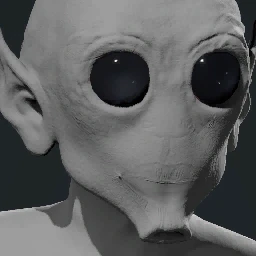 Face 3