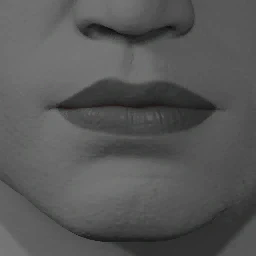 Lipstick Style 1