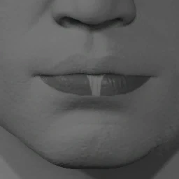 Lipstick Style 10