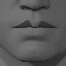 Lipstick Style 11