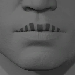 Lipstick Style 12