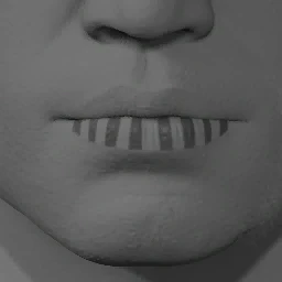 Lipstick Style 13