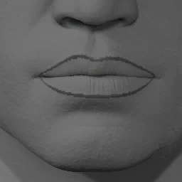 Lipstick Style 14