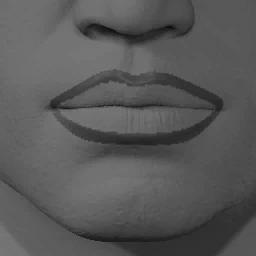 Lipstick Style 15