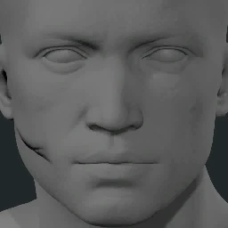 Scarring 11