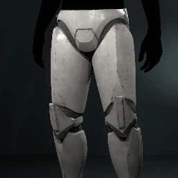 501st