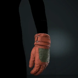 Gloves