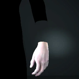 Jae's Gloves