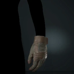 Gloves