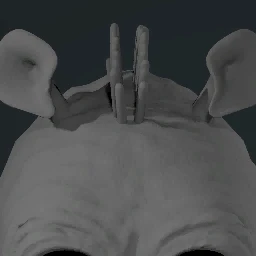 Rodian 2